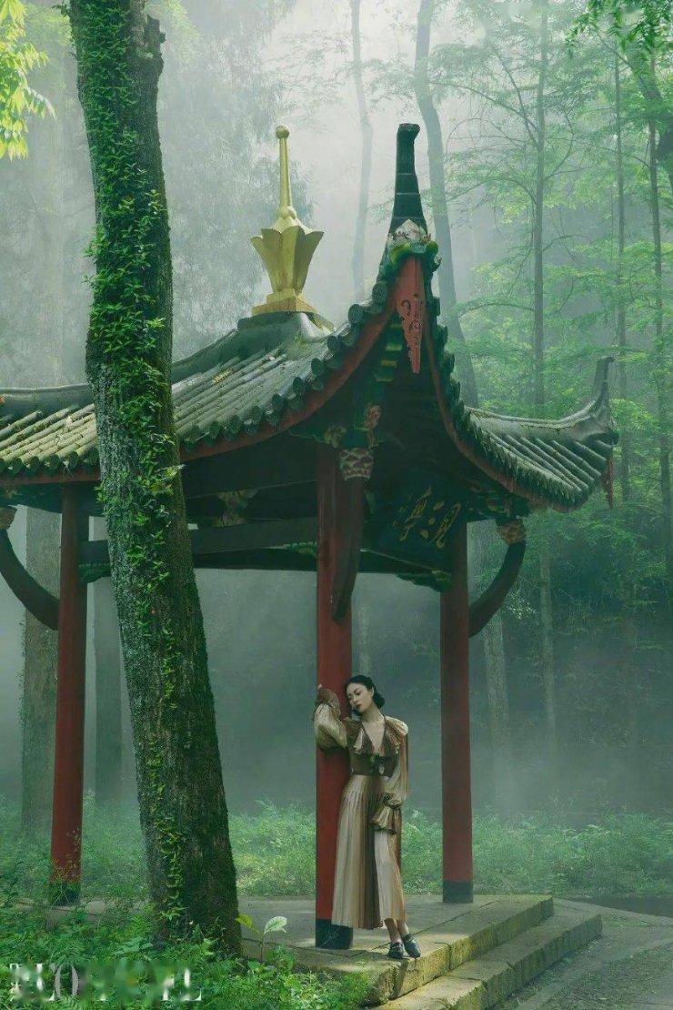 养老保险、职业技能培训....您关注的问题有回复了